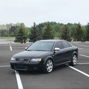 Meet your Posher, Grayson